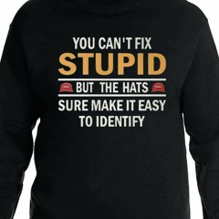 You Can’t Fix Stupid But The Hats Sure Make It Easy To Identify T-Shirt