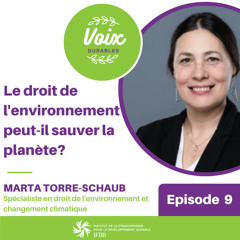 #9 Le droit de l'environnement peut-il sauver la planète ?