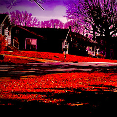 this wont last (prod. erra)