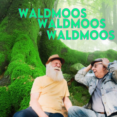 Waldmoos ( mit H.D. Schön)