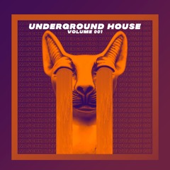 Underground House Volume 001 (Sample Pack) Demo