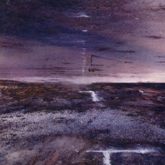 stereo nova - telson (slowed 30%)