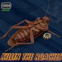 Killin The Roaches