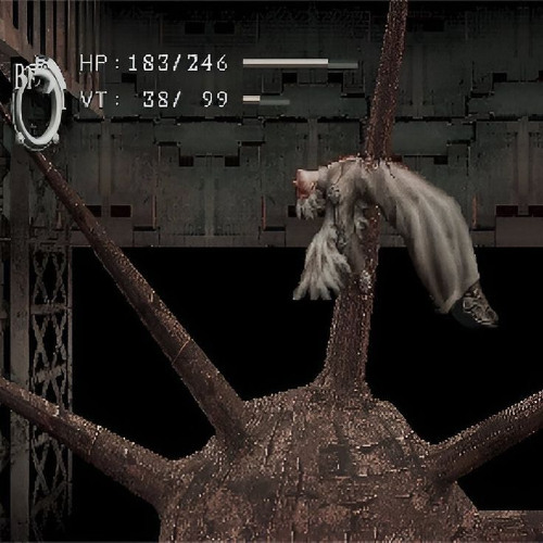 how many [p. jaechii]