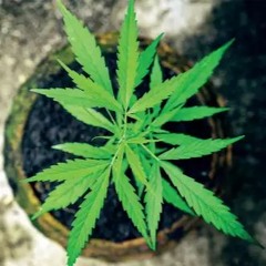 Relentless ft. tuvidubi