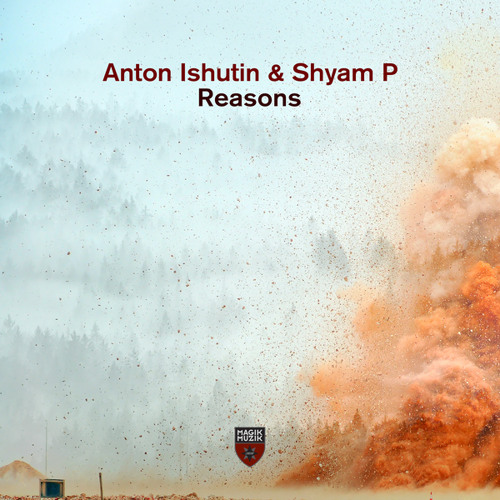 Reasons