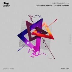 Phenomenal (Original Mix)