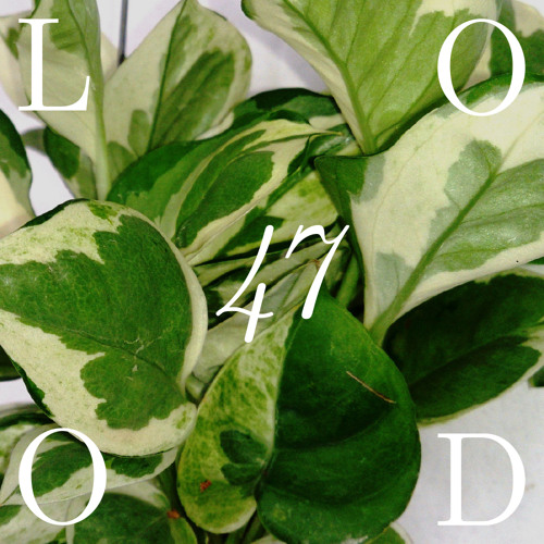 LOODcast 47 ~ Muro