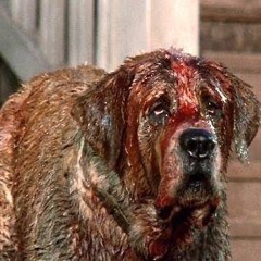 cujo/notebook