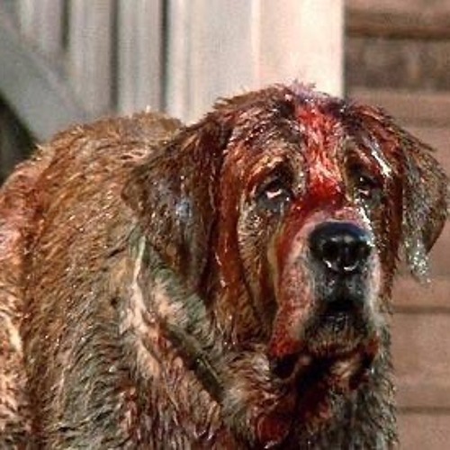 cujo/notebook