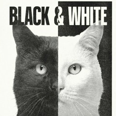 Black and White@Zloy Babai.wav