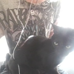 makin music wit Dante Brando's Cat on my lap