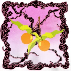 FRUITCAST #89 | grey.ish & vinsk. | zwei Physalis, viel Vitalis
