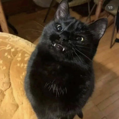 ไม่ต้องกลับมาแล้วแต่เพลงมันเพราะจะลบก็เสียดาย