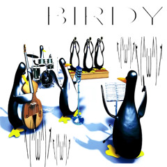 birdy (dtna)