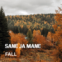 Fall (Original Mix)