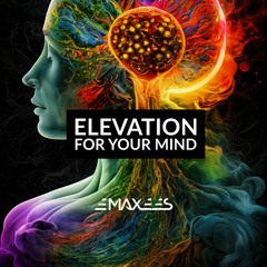 Elevation For Your Mind (Original Mix)