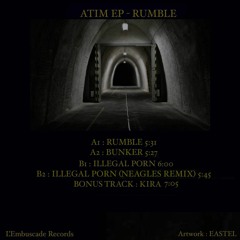 ATIM - ILLEGAL PORN ( EMBUSCADE RECORDS )