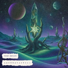 L A C U N A C A S T O 2 5 ✷ by true Ƞɑʈure