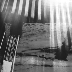 Episode 1: "Daido Moriyama: Beauty in Imperfection"