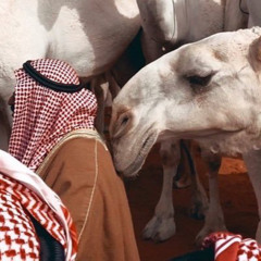 ⁨ياهل الديره - فايز الدوسري.