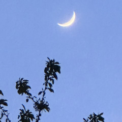 Panacea (prod. by Ilouis)