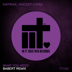 What You Need (Babert Remix)