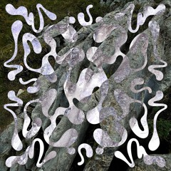 ntrp003