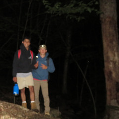 VYZEE MELODY (Slowed + Reverb)