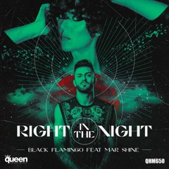 QHM650 - Black Flamingo Feat. Mar Shine - Right In The Night (Original Mix)