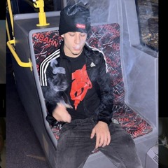 RAGNATELE SCENDERE  RESE  PROD BY: GREG