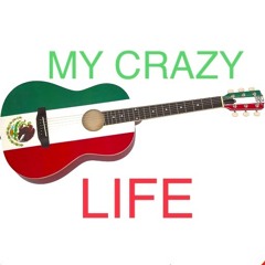 My Crazy Life(Prod El Gato Cosmico)