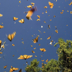 ☽dreams☽ w/ sneezy!