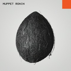 Muppet Ronin [Kabuto the Coconut, Coconut Sullivan] - Island Not Good