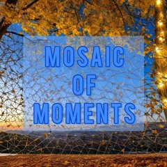 Hong Shali, No Alternative - Mosaic of Moments (休憩)