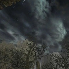 i'll be your burden (prod. SXZU)