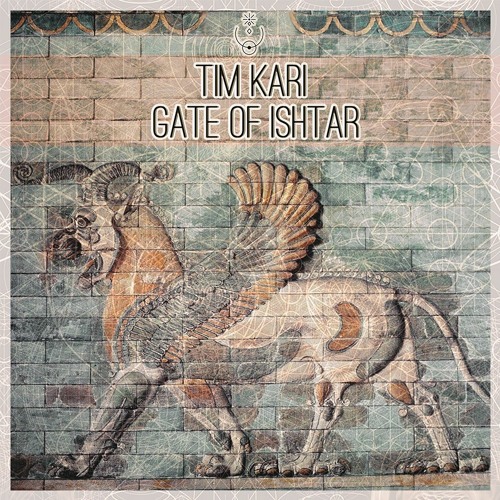 Tim Kari - Afsone (Original)