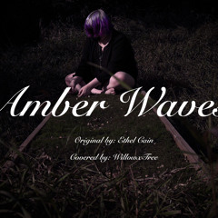 Amber Waves