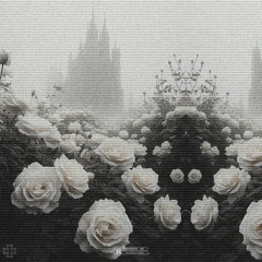 Während des Krieges gibt es ein Blumenfeld