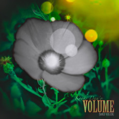 Volume (stripped down version)