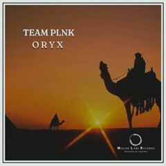 TEAM PLNK - Oryx [Molon Labe Records]