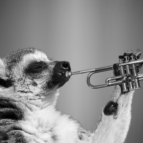 Trombass