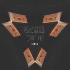 Charlie Puth - Light Switch (Gabriel Muñoz Remix)