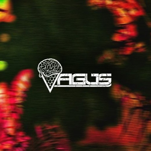 VAGUS & Solis - Holy Live(Remix)