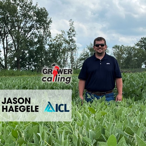 ICL Group offers fertilizer and mineral solutions