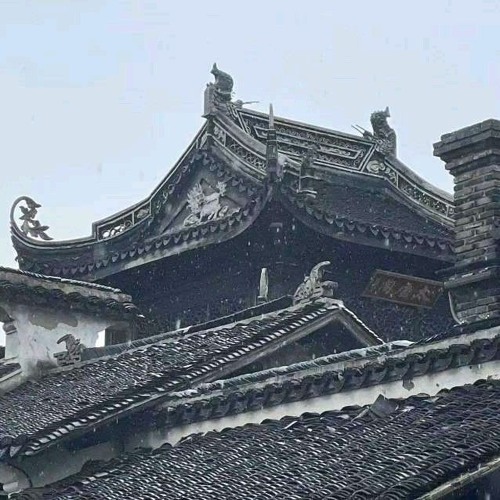 爱以为常