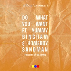 Do What You Want Ft. Yummy Bingham & Homeboy Sandman