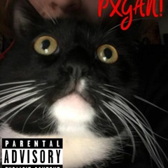 WEARING BENTLEY (demo)