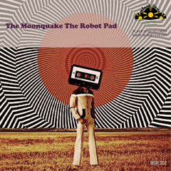 The Moonquake - The Robot Pad