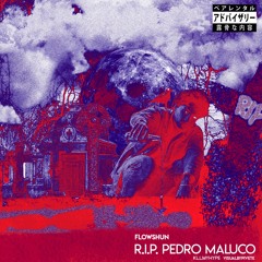 R.I.P PEDRO MALUCO (CARTI REMIX)